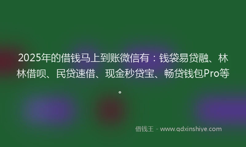 2025年的借钱马上到账微信有：钱袋易贷融、林林借呗、民贷速借、现金秒贷宝、畅贷钱包Pro等。