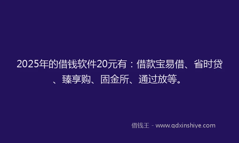 2025年的借钱软件20元有：借款宝易借、省时贷、臻享购、固金所、通过放等。