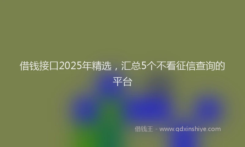 借钱接口2025年精选，汇总5个不看征信查询的平台