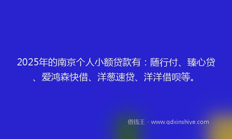 2025年的南京个人小额贷款有：随行付、臻心贷、爱鸿森快借、洋葱速贷、洋洋借呗等。