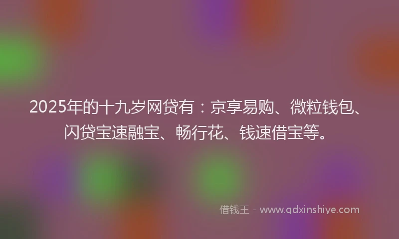 2025年的十九岁网贷有：京享易购、微粒钱包、闪贷宝速融宝、畅行花、钱速借宝等。