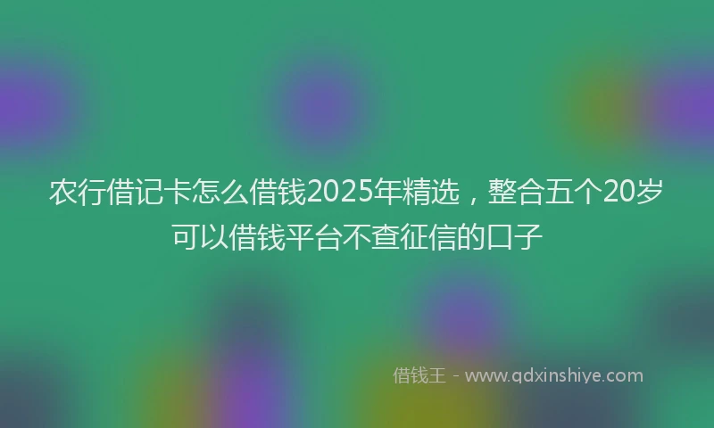 农行借记卡怎么借钱2025年精选，整合五个20岁可以借钱平台不查征信的口子