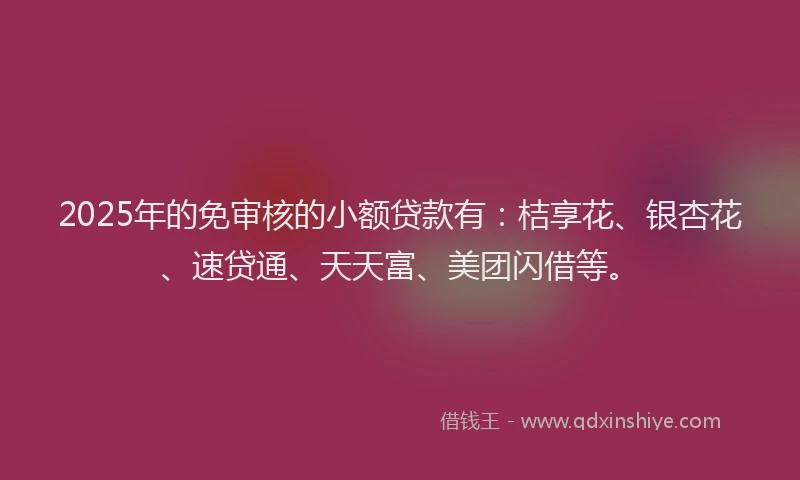 2025年的免审核的小额贷款有：桔享花、银杏花、速贷通、天天富、美团闪借等。