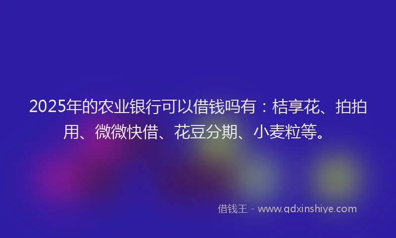 2025年的农业银行可以借钱吗有：桔享花、拍拍用、微微快借、花豆分期、小麦粒等。