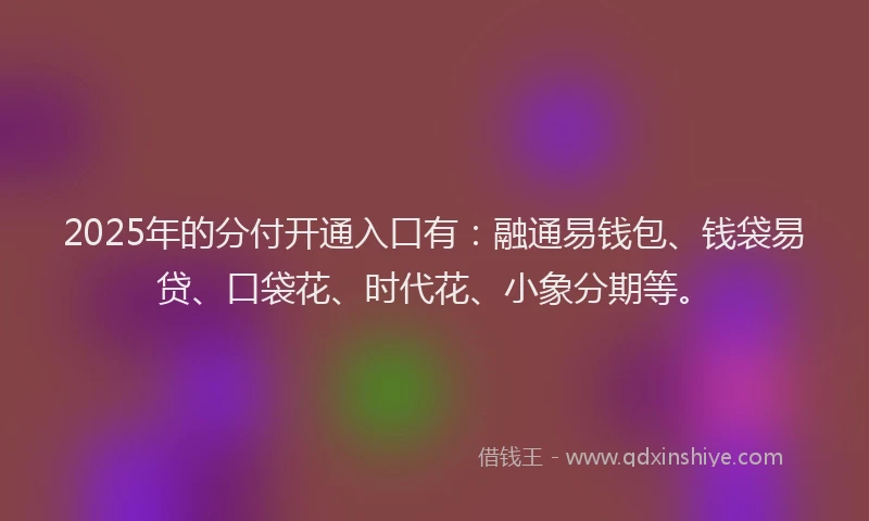 2025年的分付开通入口有：融通易钱包、钱袋易贷、口袋花、时代花、小象分期等。