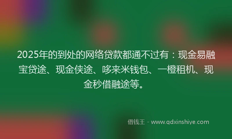 2025年的到处的网络贷款都通不过有：现金易融宝贷途、现金侠途、哆来米钱包、一橙租机、现金秒借融途等。