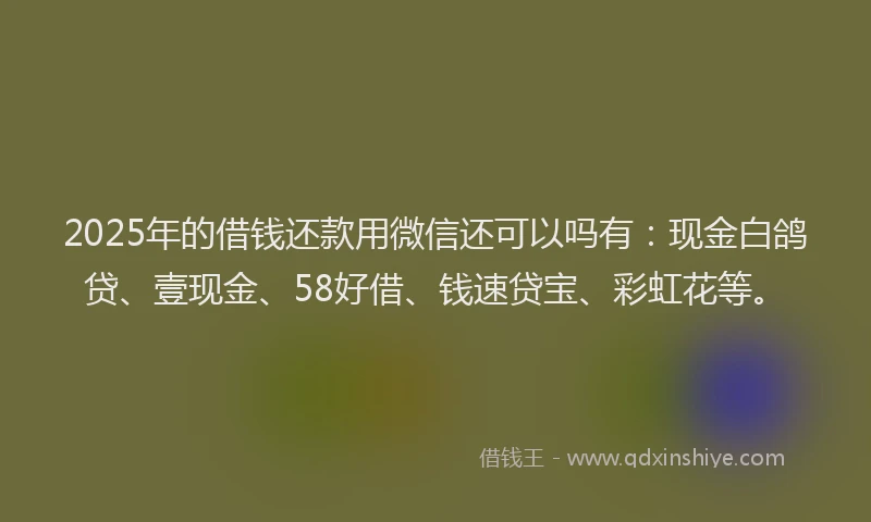 2025年的借钱还款用微信还可以吗有：现金白鸽贷、壹现金、58好借、钱速贷宝、彩虹花等。