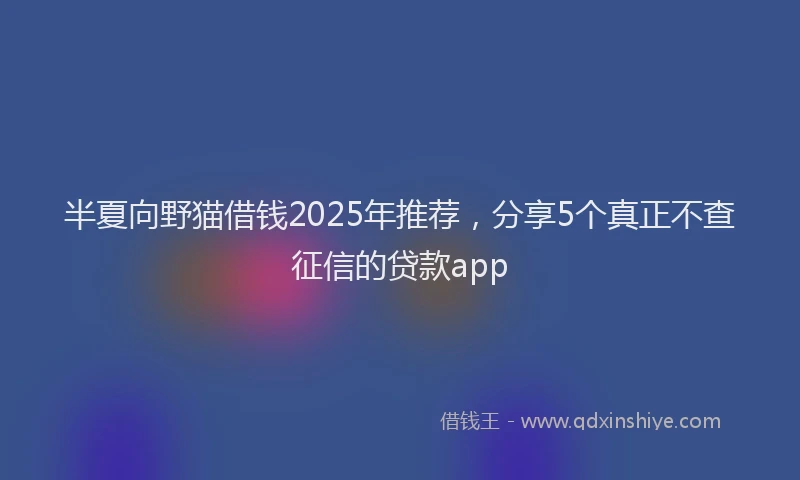 半夏向野猫借钱2025年推荐，分享5个真正不查征信的贷款app