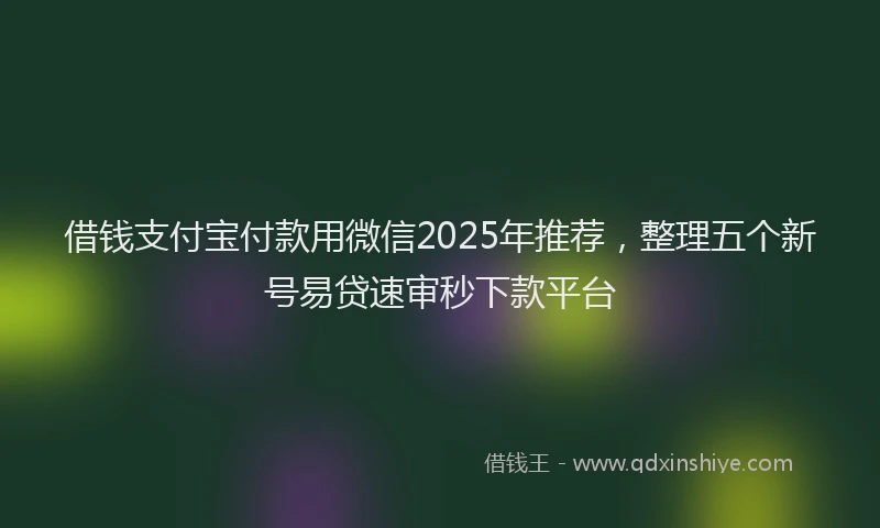 借钱支付宝付款用微信2025年推荐，整理五个新号易贷速审秒下款平台