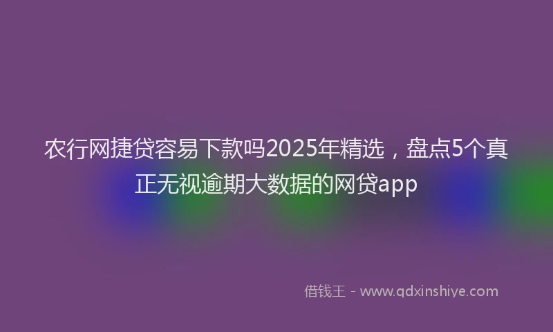 农行网捷贷容易下款吗2025年精选，盘点5个真正无视逾期大数据的网贷app