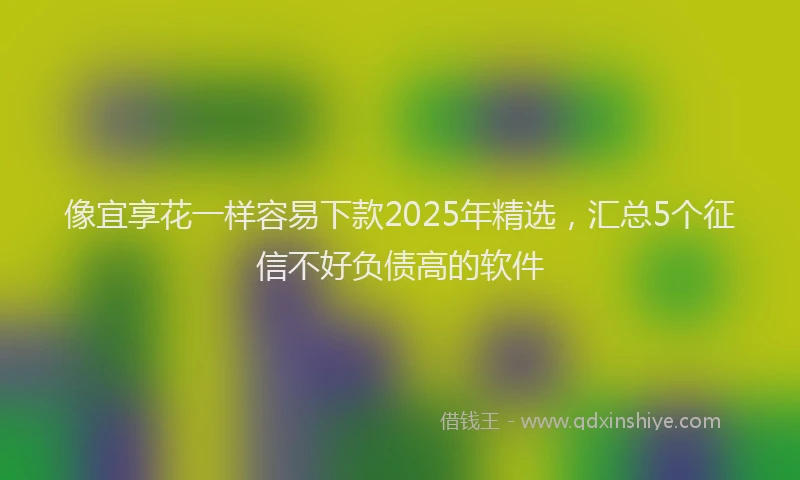 像宜享花一样容易下款2025年精选，汇总5个征信不好负债高的软件