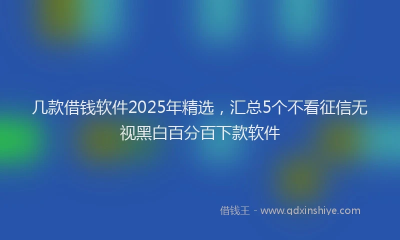 几款借钱软件2025年精选，汇总5个不看征信无视黑白百分百下款软件