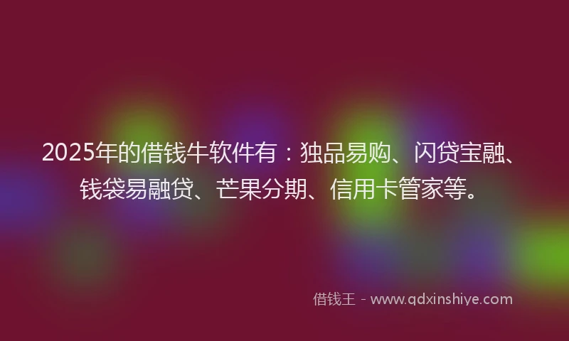 2025年的借钱牛软件有：独品易购、闪贷宝融、钱袋易融贷、芒果分期、信用卡管家等。