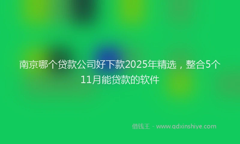 南京哪个贷款公司好下款2025年精选，整合5个11月能贷款的软件