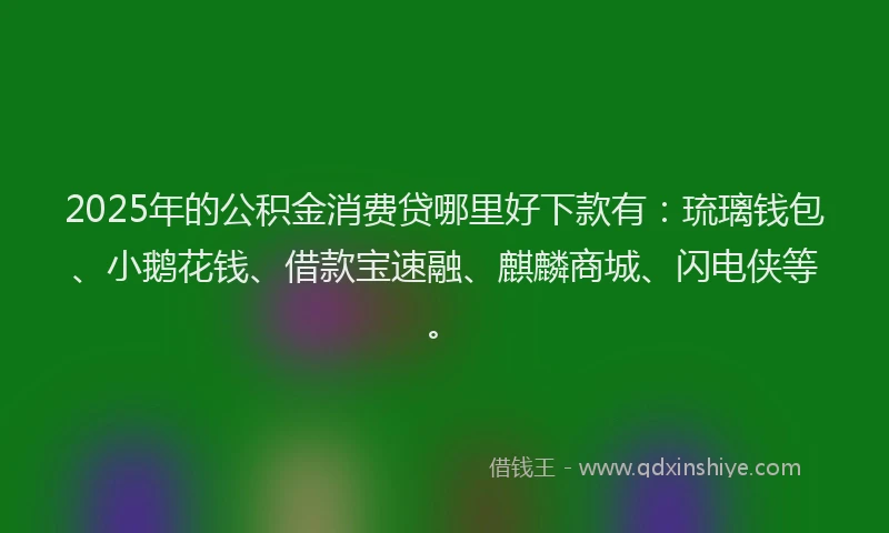 2025年的公积金消费贷哪里好下款有：琉璃钱包、小鹅花钱、借款宝速融、麒麟商城、闪电侠等。