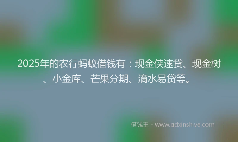 2025年的农行蚂蚁借钱有：现金侠速贷、现金树、小金库、芒果分期、滴水易贷等。