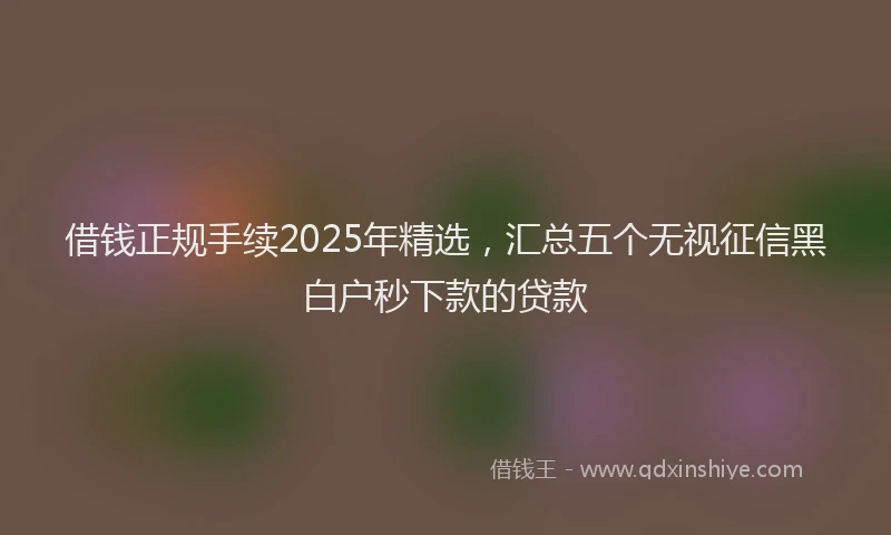 借钱正规手续2025年精选，汇总五个无视征信黑白户秒下款的贷款