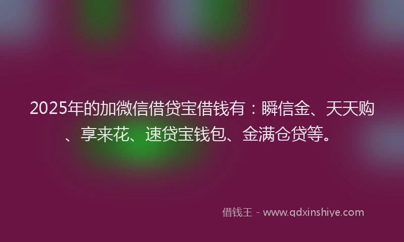 2025年的加微信借贷宝借钱有：瞬信金、天天购、享来花、速贷宝钱包、金满仓贷等。