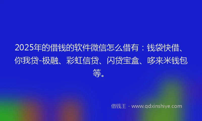 2025年的借钱的软件微信怎么借有：钱袋快借、你我贷-极融、彩虹信贷、闪贷宝盒、哆来米钱包等。