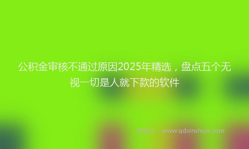 公积金审核不通过原因2025年精选，盘点五个无视一切是人就下款的软件