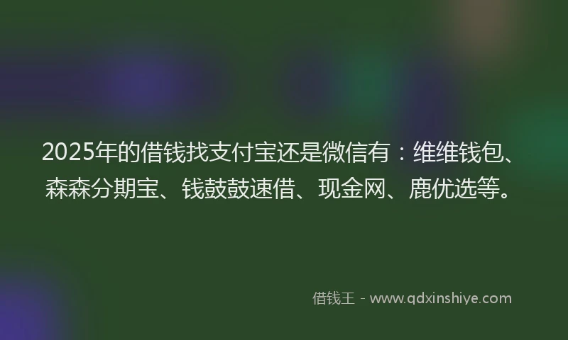 2025年的借钱找支付宝还是微信有：维维钱包、森森分期宝、钱鼓鼓速借、现金网、鹿优选等。