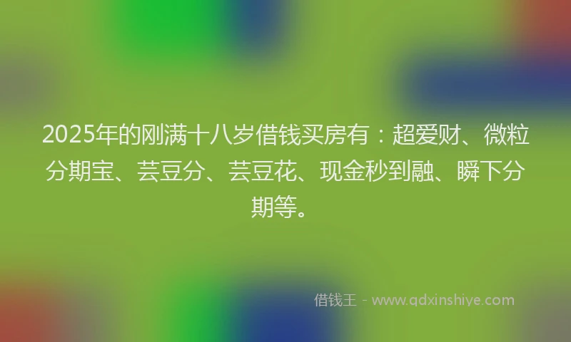 2025年的刚满十八岁借钱买房有：超爱财、微粒分期宝、芸豆分、芸豆花、现金秒到融、瞬下分期等。