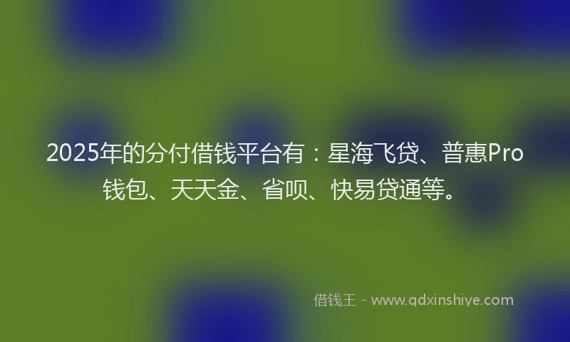 2025年的分付借钱平台有：星海飞贷、普惠Pro钱包、天天金、省呗、快易贷通等。