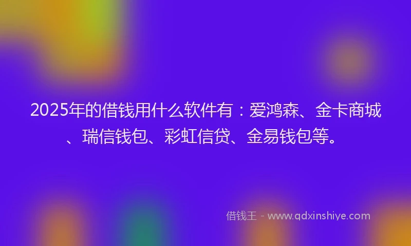 2025年的借钱用什么软件有：爱鸿森、金卡商城、瑞信钱包、彩虹信贷、金易钱包等。