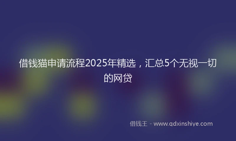 借钱猫申请流程2025年精选，汇总5个无视一切的网贷