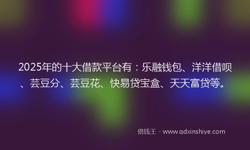 2025年的十大借款平台有：乐融钱包、洋洋借呗、芸豆分、芸豆花、快易贷宝盒、天天富贷等。