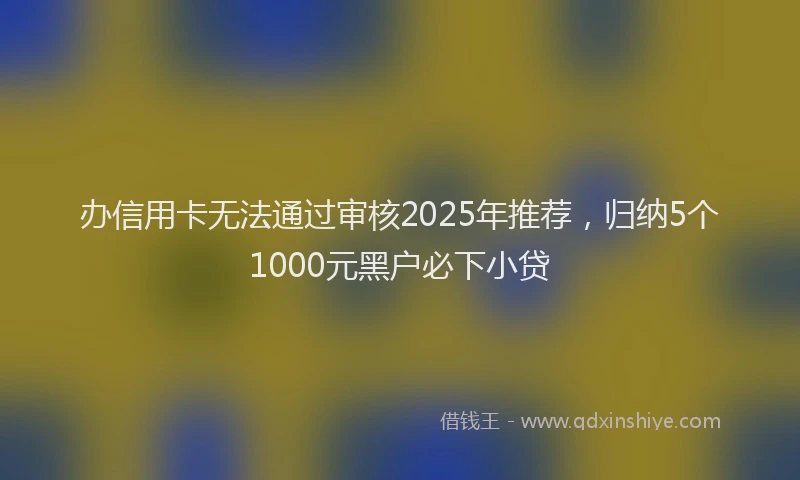 办信用卡无法通过审核2025年推荐，归纳5个1000元黑户必下小贷