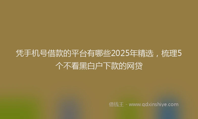 凭手机号借款的平台有哪些2025年精选，梳理5个不看黑白户下款的网贷