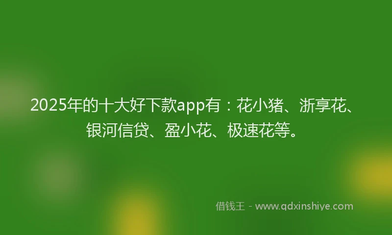 2025年的十大好下款app有：花小猪、浙享花、银河信贷、盈小花、极速花等。