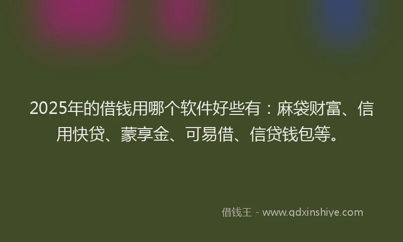 2025年的借钱用哪个软件好些有：麻袋财富、信用快贷、蒙享金、可易借、信贷钱包等。