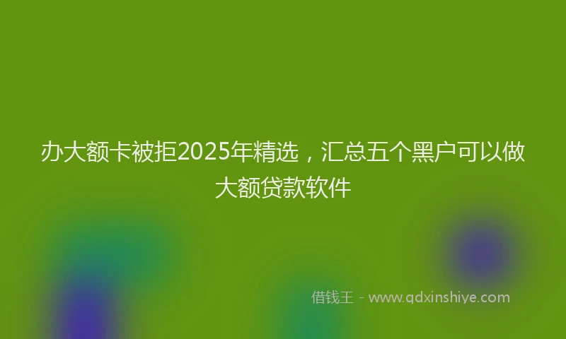 办大额卡被拒2025年精选，汇总五个黑户可以做大额贷款软件