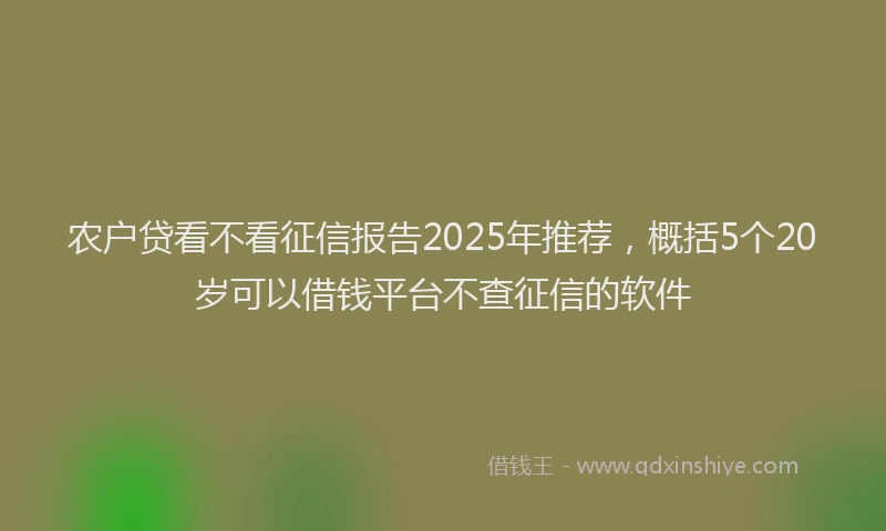 农户贷看不看征信报告2025年推荐，概括5个20岁可以借钱平台不查征信的软件