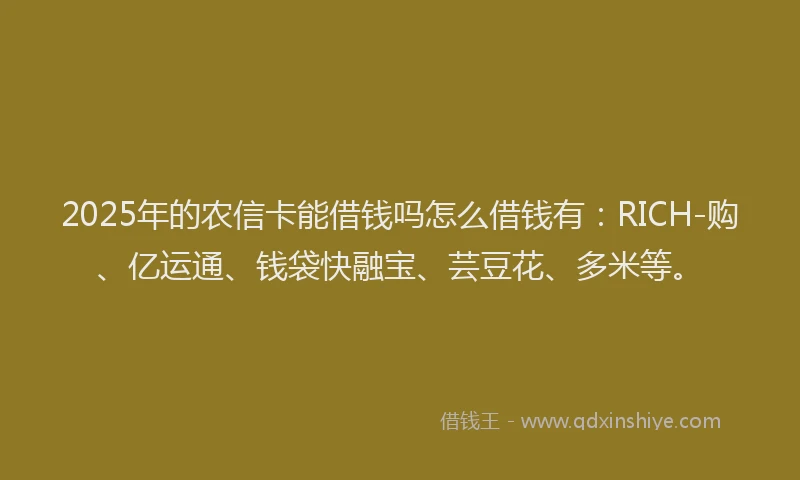 2025年的农信卡能借钱吗怎么借钱有：RICH-购、亿运通、钱袋快融宝、芸豆花、多米等。