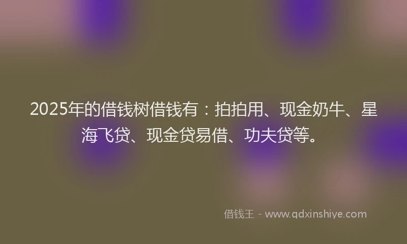 2025年的借钱树借钱有：拍拍用、现金奶牛、星海飞贷、现金贷易借、功夫贷等。