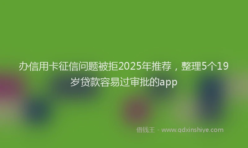办信用卡征信问题被拒2025年推荐，整理5个19岁贷款容易过审批的app