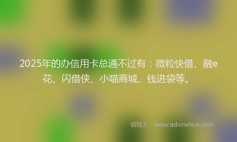 2025年的办信用卡总通不过有：微粒快借、融e花、闪借侠、小喵商城、钱进袋等。