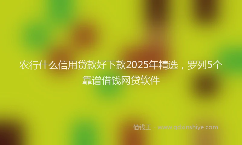 农行什么信用贷款好下款2025年精选，罗列5个靠谱借钱网贷软件
