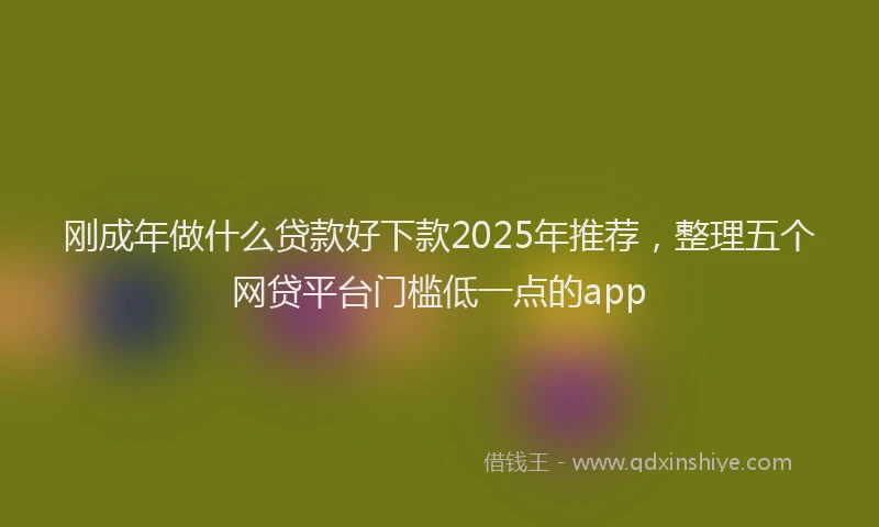 刚成年做什么贷款好下款2025年推荐，整理五个网贷平台门槛低一点的app