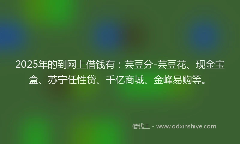 2025年的到网上借钱有：芸豆分-芸豆花、现金宝盒、苏宁任性贷、千亿商城、金峰易购等。