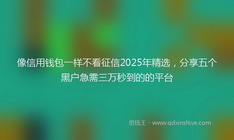 像信用钱包一样不看征信2025年精选，分享五个黑户急需三万秒到的的平台