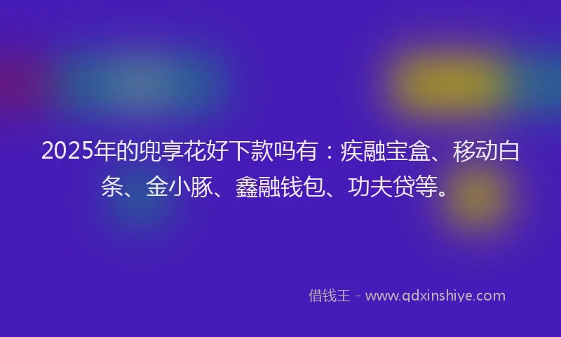 2025年的兜享花好下款吗有：疾融宝盒、移动白条、金小豚、鑫融钱包、功夫贷等。