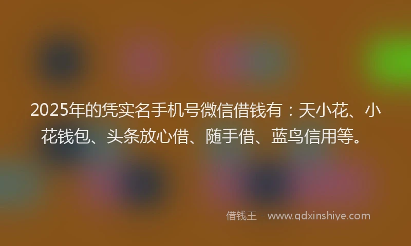 2025年的凭实名手机号微信借钱有：天小花、小花钱包、头条放心借、随手借、蓝鸟信用等。