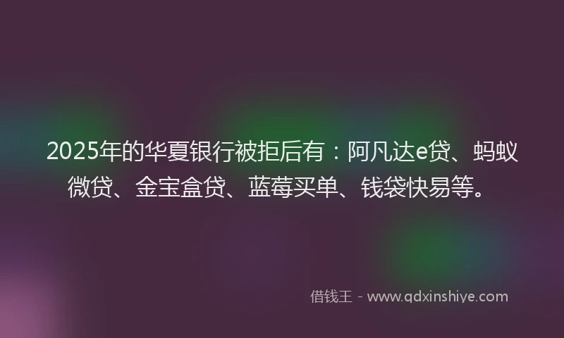 2025年的华夏银行被拒后有：阿凡达e贷、蚂蚁微贷、金宝盒贷、蓝莓买单、钱袋快易等。