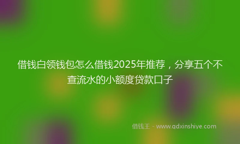 借钱白领钱包怎么借钱2025年推荐，分享五个不查流水的小额度贷款口子