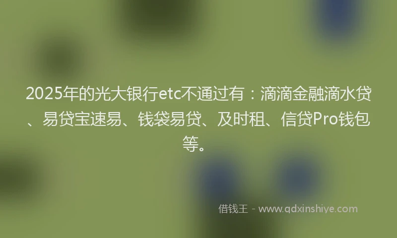 2025年的光大银行etc不通过有：滴滴金融滴水贷、易贷宝速易、钱袋易贷、及时租、信贷Pro钱包等。