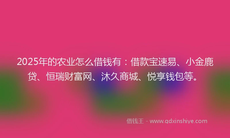 2025年的农业怎么借钱有：借款宝速易、小金鹿贷、恒瑞财富网、沐久商城、悦享钱包等。